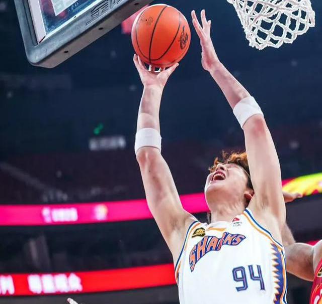 澳客网址-上海队气势如虹，冲刺季后赛(上海队气势如虹,冲刺季后赛怎么样)