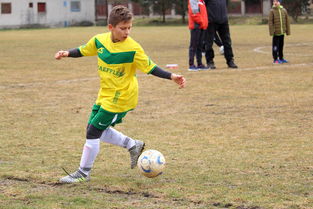 帕尔梅拉斯冲击季军，年轻球员表现亮眼